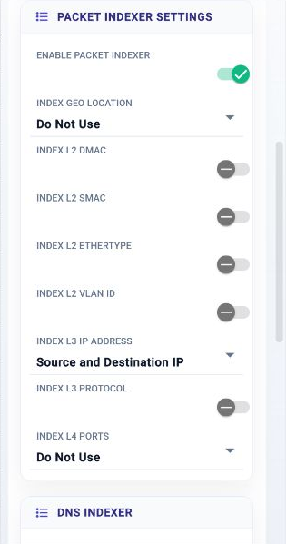 Metadata packet and DNS indexer properties