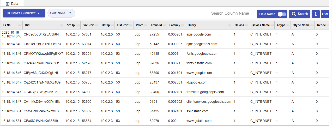 Searchable DNS transaction records